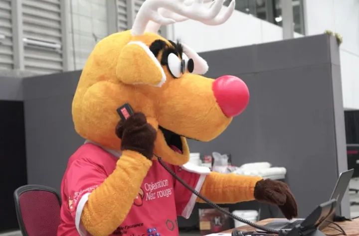 دسامبر گذشته ۲۱ هزار کبکی پس از شرکت در جشن، به لطف عملیات «بینی قرمز» سالم به خانه برگشتند